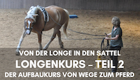 Aufbaukurs zum Longenkurs