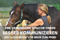 Clickerkurs