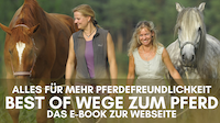 Best of Wege zum Pferd